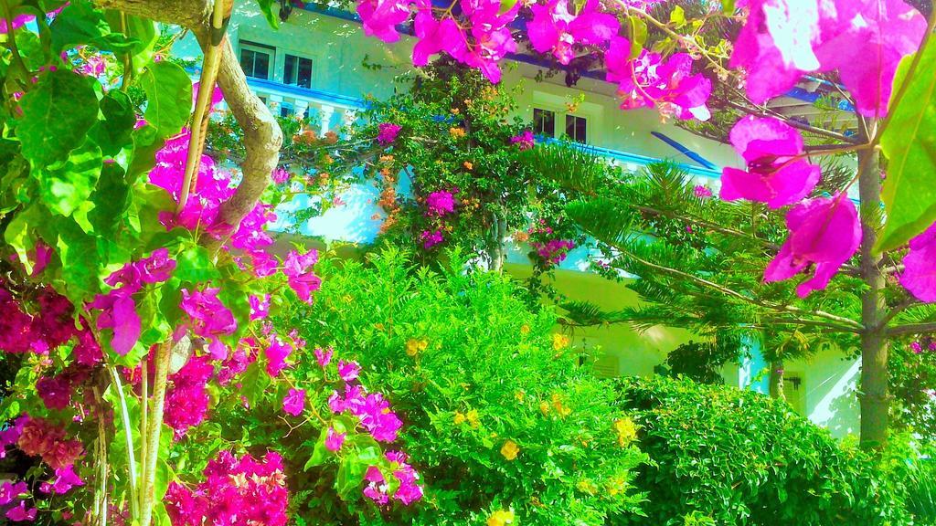 Angelika Aparthotel Alinda  Luaran gambar