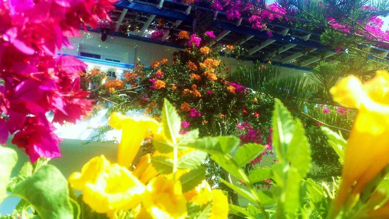Angelika Aparthotel Alinda  Luaran gambar